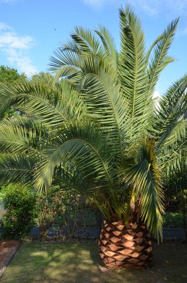 Villa Uhaina بياريتز المظهر الخارجي الصورة